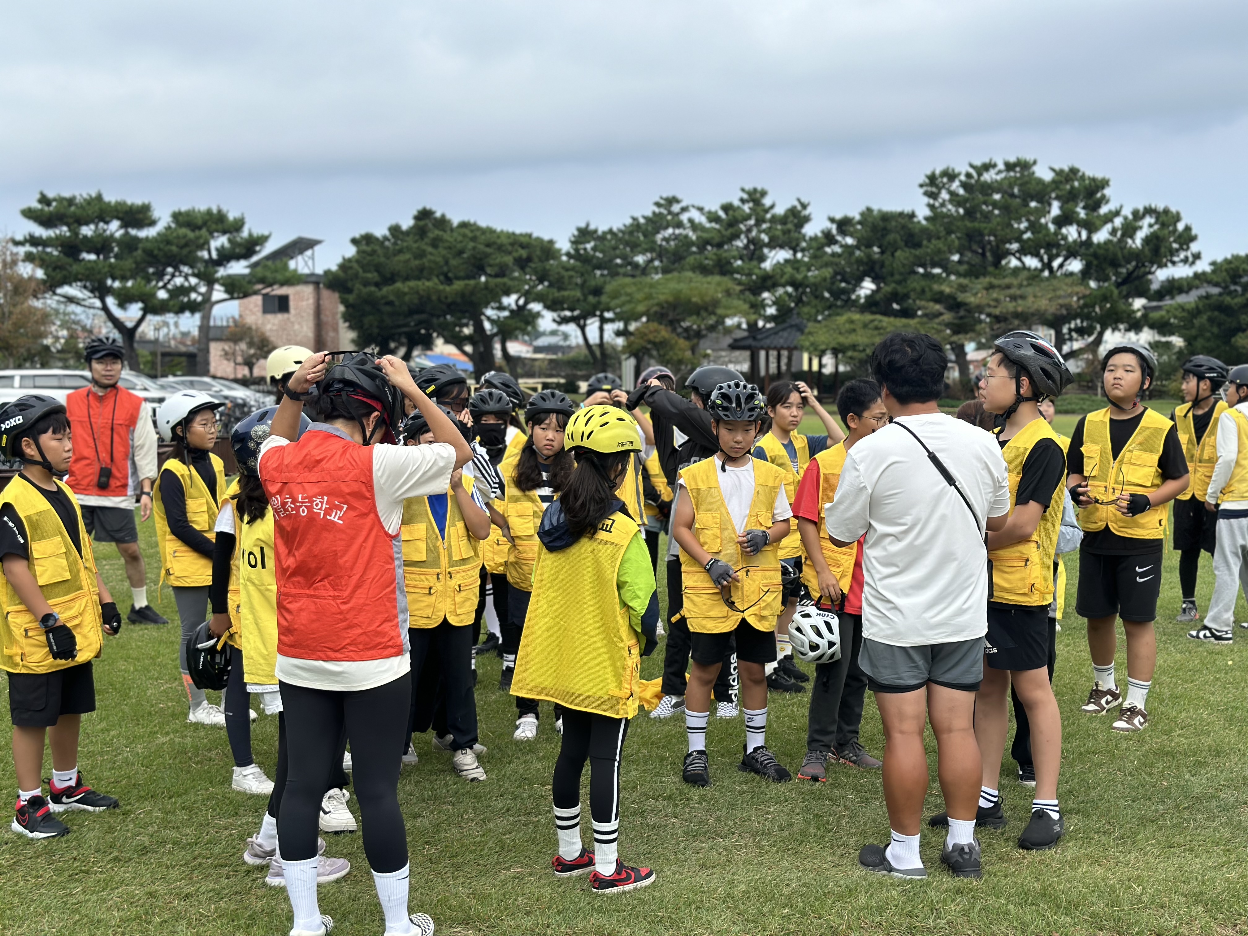 program images